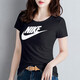 耐克（NIKE）女子夏季运动套装 跑步健身训练服休闲衣裤潮流时尚透气短袖短裤 短袖T恤+短裤/两件套 M