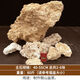 Absorbent stone raw stone wool on water stone natural rockery bonsai rockery stone landscaping stone micro landscape ornaments with stone absorbent stone raw stone 40-55CM 80Jin Jin is equal to 0.5 kg