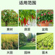 Smart Green Compound Fertilizer Universal Nitrogen Phosphorus Potassium Fertilizer Flower Vegetable Fruit Tree Agricultural Fertilizer Granular Fertilizer Medium Element Water-Soluble Fertilizer Universal Granular Fertilizer 5Jin Jin is equal to 0.5kg *1 barrel