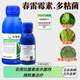 Syngenta Lehuijian kasugamycin polymyxa citrus canker rice blast tomato bacterial spot fungicide 500ml 20 bottles/box