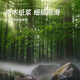 晨光（M&G）绿晨光100*70mm*690张*12卷三防热敏标签打印纸 快递面单不干胶打印纸条码纸