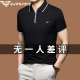Chiarmania Armani Summer Algodón de algodón de algodón de manga corta Camiseta de seda de hielo Paul Polo de alta gama Nuevo hombre A-691 White XS 160