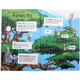 The Faraway Tree Fantasy Magic Adventure Bridge Chapter Book Lansi 600-680L Enid Blyton Enid Blyton 6-15 years old