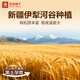 Liangpinpuzi Rye whole wheat bread 1000g/box breakfast bread low-fat fitness light meal replacement toast snacks