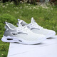 
Changxiang Huili Shoes Men's Shoes 2025 New Summer Breathable Hollow Thin Mesh Shoes Soft Sole Mesh Casual Running Sports Shoes FH-882-DD White and Black 42