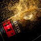 Remy Martin VSOP Remy Martin Special Class Club Wildebeest Rent Horse xo Cognac Wein 700 ml 1000 ml Mietpferd VSOP 700 ml 1 Flasche mit Box