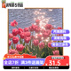 咔佐郁金香数字油画diy填充手工减压手绘填色油彩画丙烯涂色装饰挂画 SJ3897 60*60cm相框(颜色可选)+画笔颜料