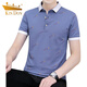 
Golden Shield Summer Lapel Short-Sleeve T-Shirt Men's Casual Young People Collar Top Clothes Half Sleeve All-match Thin Handsome Polo Shirt Black QY679 M 100-120Jin [Jin equals 0.5 kg]