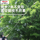 DELIXI ELECTRIC high-branch tree saw pruning high-altitude sawing wood pruning branches long pole tree saw artifact Black King Kong 7.6 meters