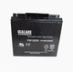 SEALAKE海湖蓄电池FM12240 12V24AH17A20A38A12A18A14A7AH消防UPS FM12180（12V18AH）