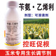 30% benzylamine ethephon special chlormequat for corn to control the growth and increase the yield, anti-lodging growth regulator pesticide, corn control and growth 250g*1 bottle