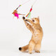 Jingdong Express Cat Funny Stick Fishing Rod Long Cat Toy Feather Bell Pet Supplies Small Fish Toy Steel Wire Feather Cat Funny Stick 1 Pack