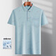 
Hailan special offer daddy suit summer lapel ice silk short-sleeved T-shirt for middle-aged and elderly men thin T-shirt for elderly people half-sleeved ice silk-9851 gray real pocket L 50/170