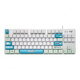 Logitech K835 Custom KeyCap E-Sports Game Business Office 84 Ключ-проводной мини-механическая клавиатура K835+Art Master Keycap White Blue Wans