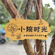 Kezhiyuan wooden sign with custom engraving, personalized and creative wooden sign, beautiful courtyard garden tree sign, wooden sign, my courtyard door sign, atmosphere, Yayuan B 30x14cm
