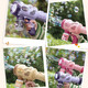 Shantoulin Village cross-border new bubble machine children's handheld bubble machine Gatlin Internet celebrity bubble machine night market stall wholesale toys 6227 Xiong Bao