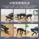 Fantasy ROS Robot Raspberry Pi Dog mécanique à quatre pattes AI Visual Mockup Bionic Programmable slam Drawing Flagship Flagship Development Version + Aluminium Box Raspberry Pi 4B / 8G