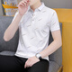 
Golden Shield Summer Lapel Short-Sleeve T-Shirt Men's Casual Young People Collar Top Clothes Half Sleeve All-match Thin Handsome Polo Shirt Black QY679 M 100-120Jin [Jin equals 0.5 kg]