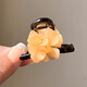 Hongyun Flower Small Clip for Women with Broken Hair and Bangs 2025 New Simple Temperament Hairpin Side Hairpin Headwear Coffee Colored Flower F278
