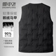 Flying in the Snow Goose Down Series Light Down Vest Autumn and Winter New Style 90 Down Warm and Coldproof Sleeveless Down Jacket for Men