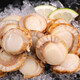 New arrival, extra large scallop meat, pure wild-caught fresh scallops, frozen seafood, kept fresh with ice, scallop meat 400g*1