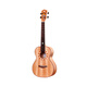 Ajima AJIMA full single ukulele adult female small guitar A2 children beginner ukulele 26 inch wood color A2 full single