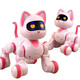 Intelligent Remote Control Stunt Robot Dog Programmable Electric Pet Cat chant et danse Robot Toy Boy Yingjia 6602 Dormitory Cat USB Rush Direct