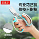 Wang Mazi floral scissors, pruning shears, gardening scissors, fruit tree potted flowers, flower branch scissors, professional floral scissors