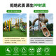 Simulated lawn carpet, green plastic decorative artificial grass bedding, kindergarten artificial floor mat, outdoor fake turf, 3cm encrypted soft spring grass, recommended by the store manager, no residue, 5-year warranty, 1.5 meters wide and 25 meters long