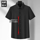 No. 1 Feng 2687 people collect functional ice silk elastic short-sleeved shirt men's business casual trendy fat man solid color non-iron pullover burgundy short sleeve high elastic-card shirt L 200/5x wear 230/250Jin [Jin equals 0.5 kg]