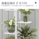 Wojia flower rack living room floor-standing multi-layer iron art rack indoor balcony green radish succulent plant flower pot rack white