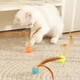 Beiyipin Cat Toy Bouncy Ball Feather Cat Stick Self-Happiness and Boredom Relief Artifact Internet Celebrity Cat Cat Chase Interactive Pet Supplies