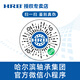 
HRB store Harbin Bearings 694 695 696 697 698 699 2Z 2RZ HRB official store 694-2Z