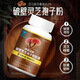 破壁灵芝孢子粉胶囊60粒/瓶中老年增强免疫力纯粉压片无添加送礼 灵芝孢子粉胶囊60粒/瓶