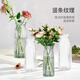 Flower growing tools glass vase 30x11.5cm