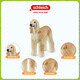 思乐（Schleich S）仿真动物模型猫猫狗狗男女孩儿童玩具礼物启蒙认知3+ 罗得西亚脊背犬13895