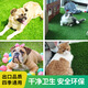 Fake lawn dog toilet lawn mat pet peeing fake turf washable artificial turf mat pet peeing pad 100cm*100cm (white background 2cm grass) 1 piece