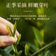 一杯香乌龙茶武夷山正岩大红袍兰花香一级250g礼盒装茶叶自己喝送礼品袋