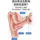 JCZS德国耳塞游泳成人专用防水不隔音硅胶洗澡防中耳炎防进水神器 青色【成人款均码】