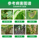 Tianguan 50% carbendazim seedlings, fruits, vegetables, flowers, gardening, leaf spot, head blight, universal fungicide 200g*1 bag