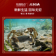 [Geschenkgutschein] Yangcheng United Hairy Crab Geschenkgutschein Crab Card Crab Gutscheingutschein Geschenkkarte Geschenkkarten Geschenkbox Meeresfrüchte Wasserprodukte 9766 Typ männlich 6.0 Twin Frau 4.5 Twin 5 bis 10