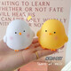 Ins style night light chick atmosphere lamp bedroom sleep night dormitory small desk lamp cute ornaments vinyl cute chick-warm light
