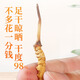 Grass Digger [Really] Wild Cordyceps sinensis Tibetan wild Cordyceps health tonic gift box gift for middle-aged and elderly people. Grade 3 grass 1 gram four 15 grams gift box Wild Cordyceps sinensis