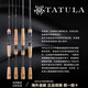 达亿瓦（DAIWA）TATULA CS V/Q 21新品蜘蛛路亚竿碳素钓鱼竿鲈鱼路亚 682m 蜘蛛XB-ST