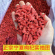 北京同仁堂【大颗粒】头茬宁夏枸杞子特级500克正宗中宁枸杞新货泡茶免洗 宁夏枸杞10克/每小包