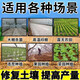 Soil-borne disease bactericide, agricultural soil fungicide, anti-repeat root rot, dead seedlings and root rot, 3 packs 500g*3