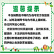 
Preparation for the exam 2025 Self-study textbook 13886 Elementary Principles of Economics Zhou Yean 2025 edition Renmin University of China Press Exam Outline 9787300330914 Textbook [Brand new second-hand No digital resources]