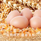 Antibiotic-free Deqingyuan Grade A fresh eggs 15 pieces 750g Antibiotic-free Deqingyuan Grade A fresh eggs 15 pieces 750g