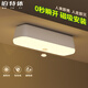 Platinum Body Sensor Light Intelligent Light Control Charging Night Light Magnetic Stairway Corridor Light Yellow Light 10CM