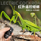 Juguetes de simulación eléctrica de mantis controlado a remoto Los niños de cucarachas de artefactos de broma douyin pueden mover animales de rastreo de arañas [versión clásica-ciempiés controlado remoto] modelo amarillo y negro 9901+ estándar oficial oficial